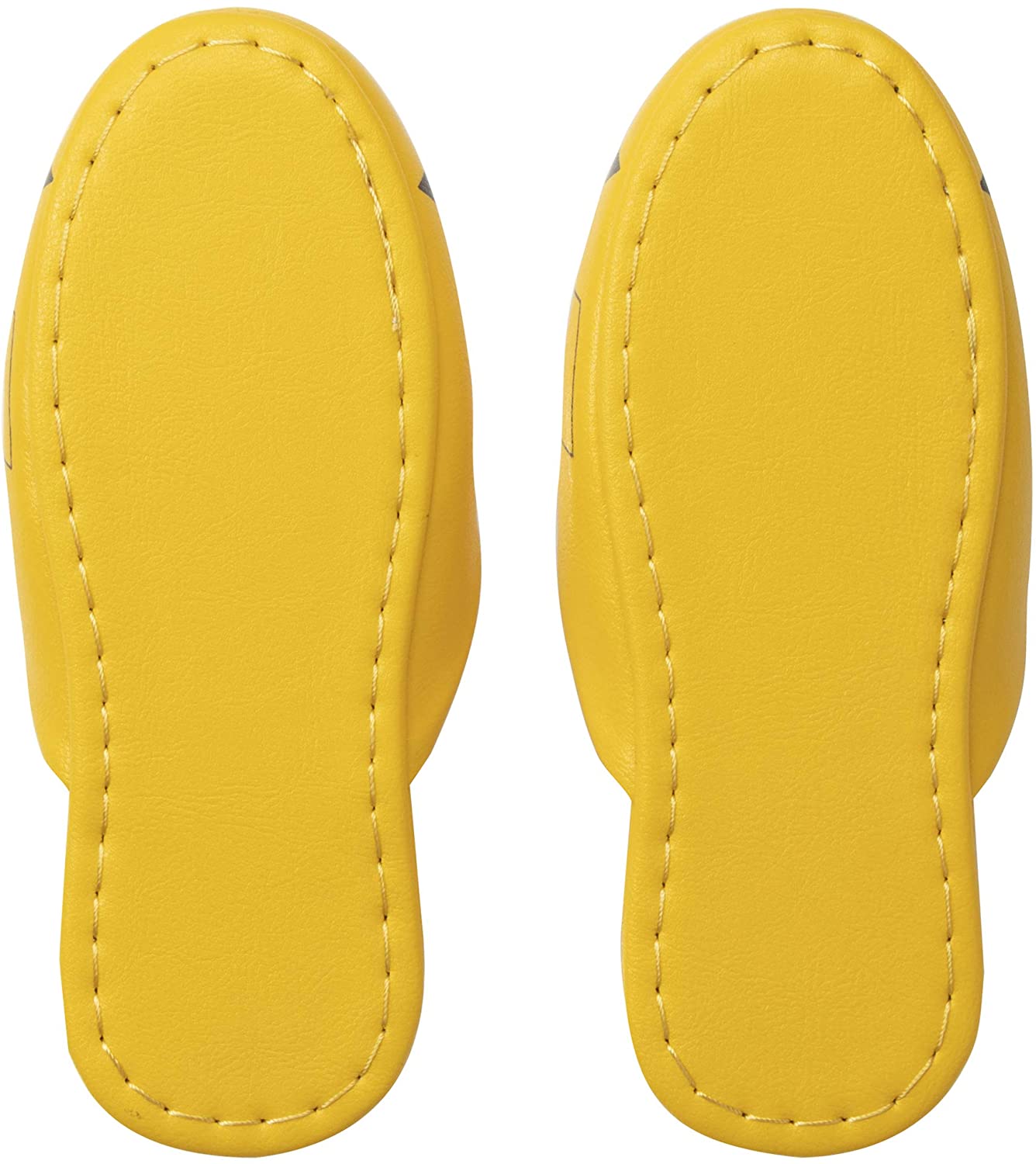 ポケットモンスター ポケモンキャラクター 子供用 抗菌ビニール