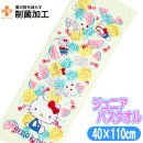 �Х������� ����˥� �ϥ������ƥ� �ǥ˥�ե롼�� �Ҷ� ���ݡ��ĥ����� ����ꥪ ����饯���� ���å������� 40��110cm ����