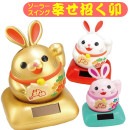 ���� �����顼 �������� �� ��ǯ ������ ������ �����顼������ �ﵯʪ ���˥ޥ� �������ɤ� 2023ǯ