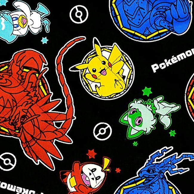 ポケモン キャラクターグッズ まとめ ポケットモンスター ポケモンキッズDP ぜんこく図鑑版｜バンダイ