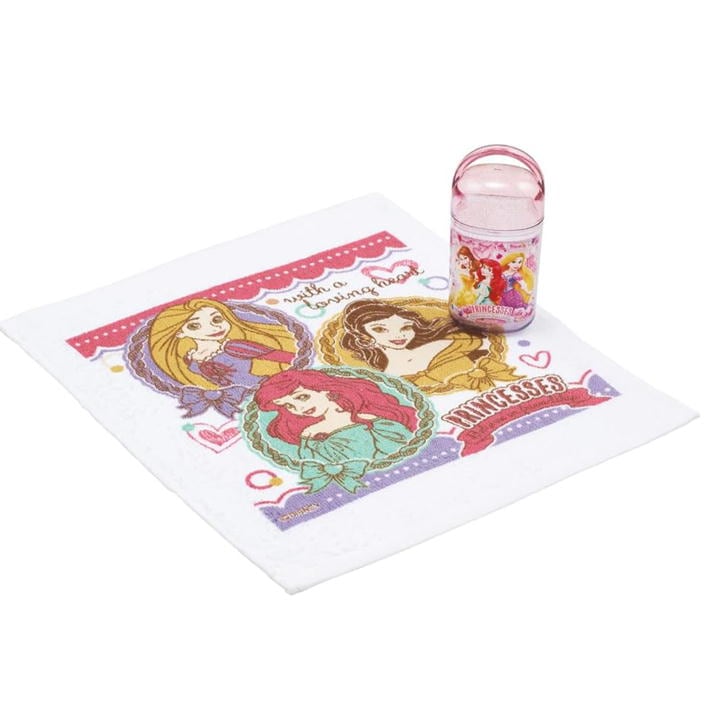 おしぼりセット プリンセス OA5AG スケーター 24 ディズニー キャラクター ケース付 おしぼり タオル 遠足 抗菌	