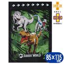 뿲å 饷å 磻ɥ󥰥 륱å Ҷ  85115cm ε 饯 å ݲù ֥󥱥å