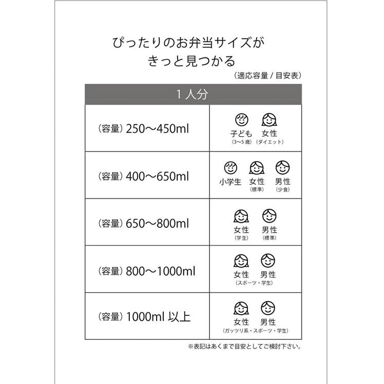 お弁当箱 2段 600ml 抗菌 ランチボックス 入れ子式 スリム スケーター YZW3AG マインクラフト マイクラ グッズ 男の子 キャラクター 日本製
