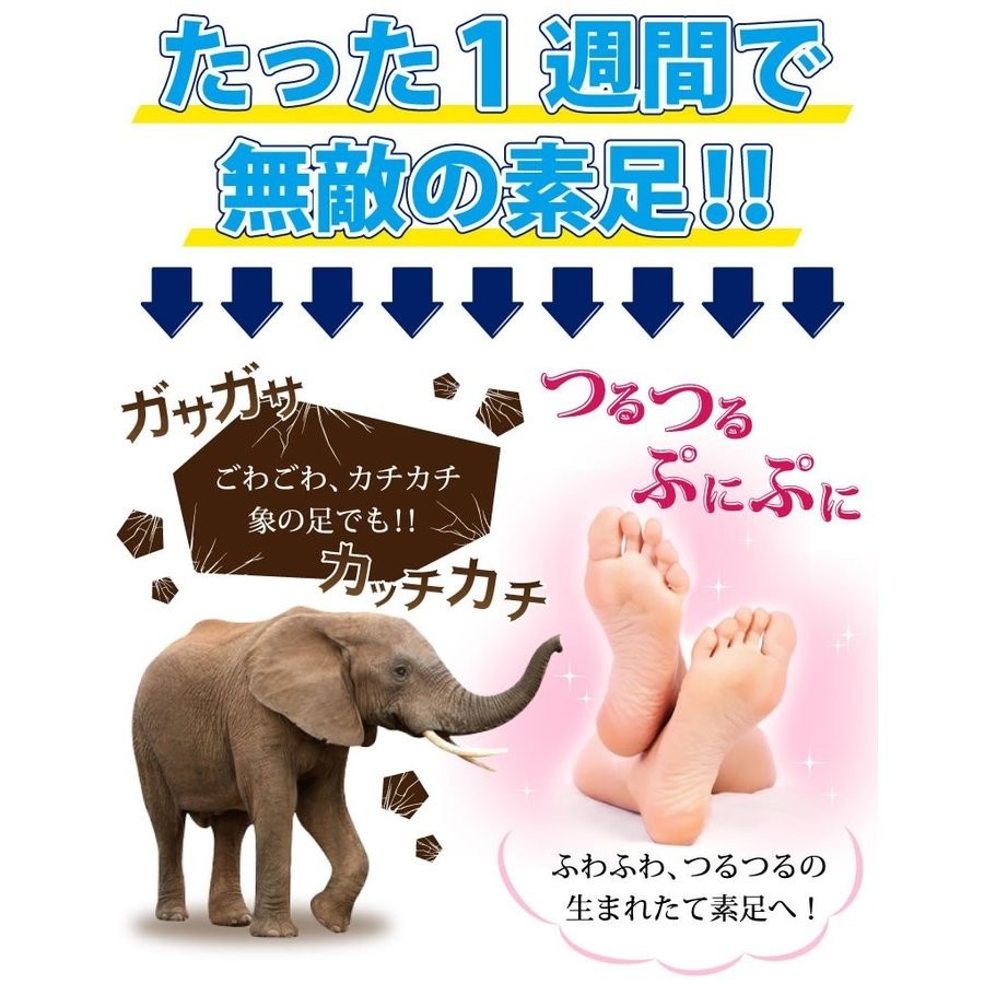  Ѽ ȥȤɤDX  SF 4562229080240 椦ѥå