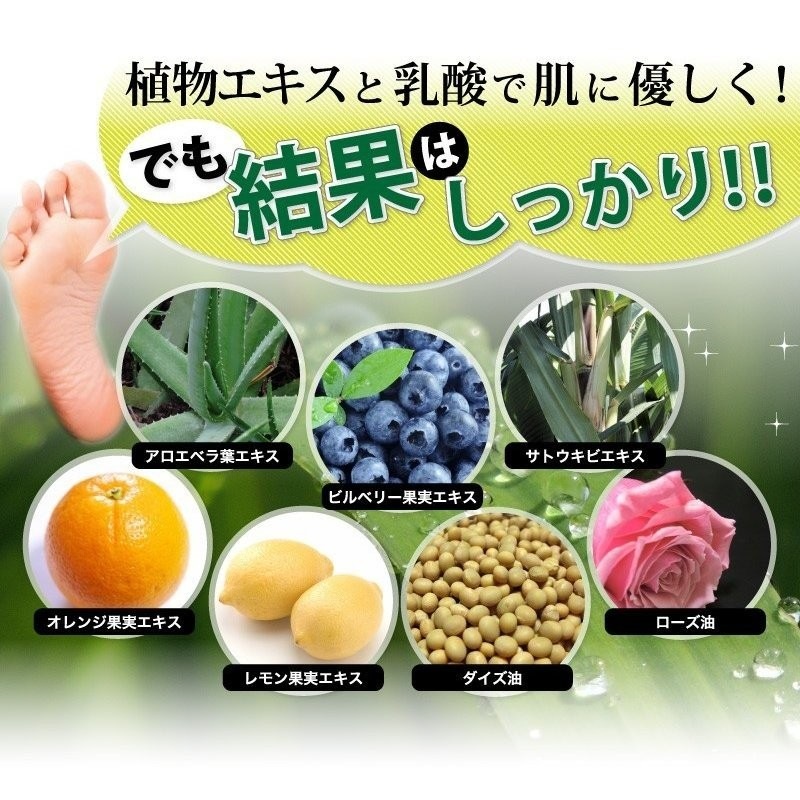  Ѽ ȥȤɤDX  SF 4562229080240 椦ѥå