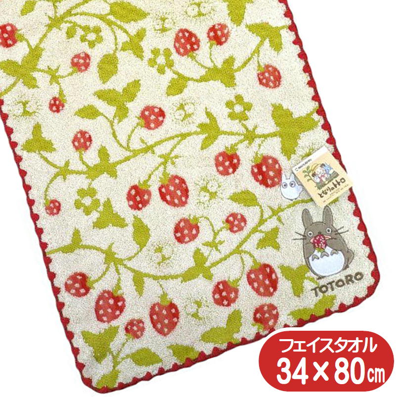 �Ȥʤ�Υȥȥ� �ե����������� �������ο� ���� �����������֥� ���å� ����饯���� �������˥å����åȥ� ���� �ɽ� 34��80cm ���åץꥱ �ɽ�