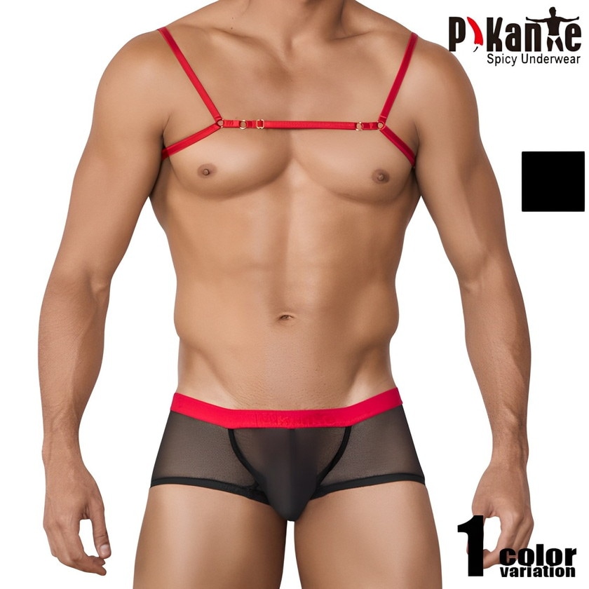 󥺥ܥ Pikante/ԥ  SENSATION BOXER ɳϡͥդ 롼 Ʃ å ܥѥ 塡󥺡ѥġ
