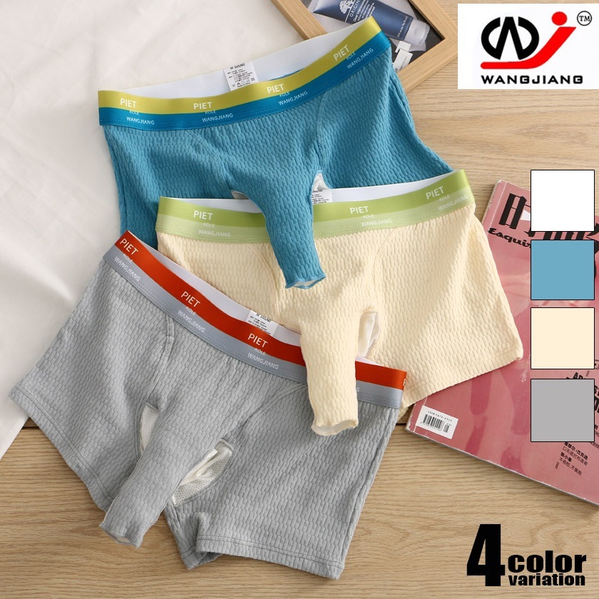 パンツ メンズ 過激 メンズ メッシュビキニ パンツ シースルー  