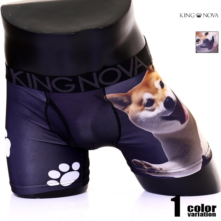 ܥѥ  KING NOVA/󥰥Υ  եץ  Ƹ Ҹ ưʪ ܥѥġ塡󥺡ѥ  ξ̥ץ
