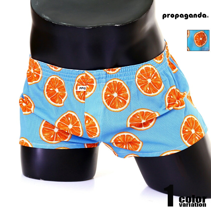 propaganda/ץѥۥݥåץåץ ȥå 硼 ȥ󥯥   ѥ ۿ® 