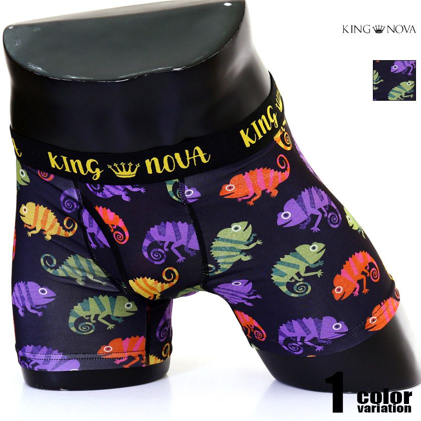 �ܥ������ѥ�� ��� KING NOVA/���󥰥Υ�  ����쥪�� ����� ����ե� ���˥ޥ� ưʪ ���饹�� �ܥ������ѥ�ġ��������塡��󥺡��ѥ�� ������