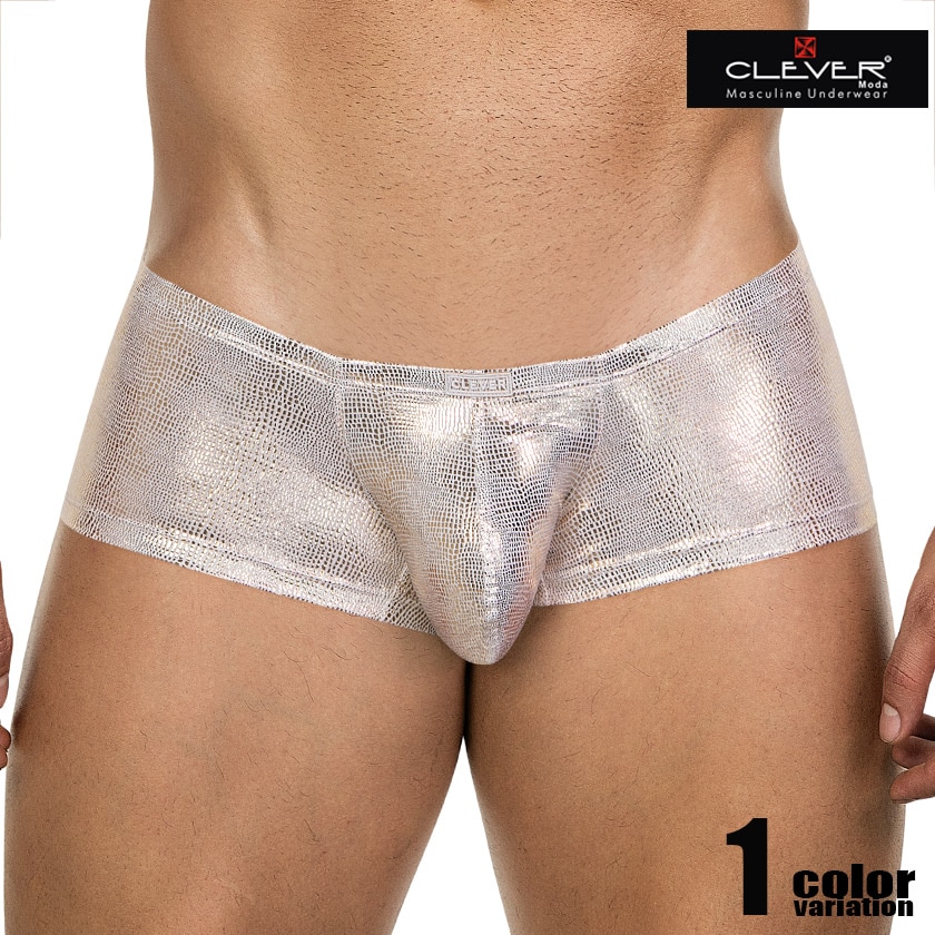��󥺥ܥ����� CLEVER/����С� DIONE LATIN BOXER ���� �̥ե���� �������� ��� �ѥ�� �ܥ����� Ω��˥�� �����饤��