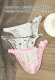 ��󥺥ӥ��� G-Station/�������ơ������ MASK SKIN �ѥ��ԥ� �ߥ˥ӥ��� ���� �� �� ���� �� Ʃ�� �ϡ��եХå� ���� �������롼 ��� �������� Ʃ�� ��󥺥ӥ��� �ޥ������ӥ���