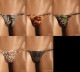 LL������ TM���쥯����� TxM original Variety of patterns �ϥ�̵�����㡼�� TB highrise T�Хå� �������� ��� �ѥ�� �������� ���˥ޥ� �ե����� �ץ��� �� �ꥪ�Хå�
