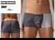 ��󥺥ȥ�󥯥� SEOBEAN/���ӥ� Dual Stripe Fit Trunks 250508 ���ȥ饤�� �Х����顼 �ļ� �������塡��󥺡��ѥ�ġ��������� Ω��˥��