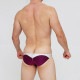 AQUX/���å��� Bulge Swim "Dark Pink" �����०���� �ӥ��˷� ��󥺿��� ���ѥ� ���ѥ� �������� �ӡ��������� aqux