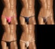 M������ ���T�Хå� TM���쥯����� UMS side string sharp TB ��� T�Хå� ���� �ѥ�� ������������� TM Collection