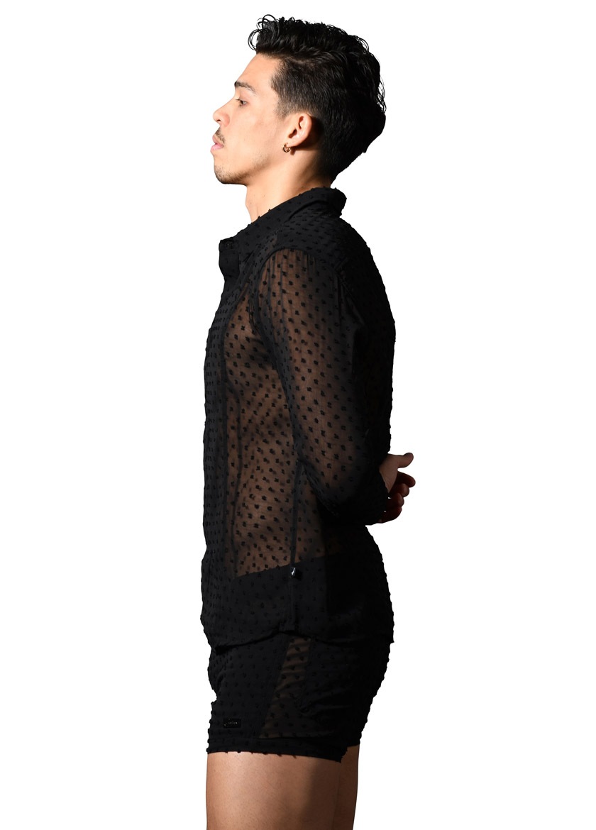 AndrewChristian/����ɥ�塼���ꥹ����� Naked Truth Capsule See-Through Midnight Shirt T����� Ĺµ ��� �ե��å���� �ȥåץ� �������롼 �ɥå���