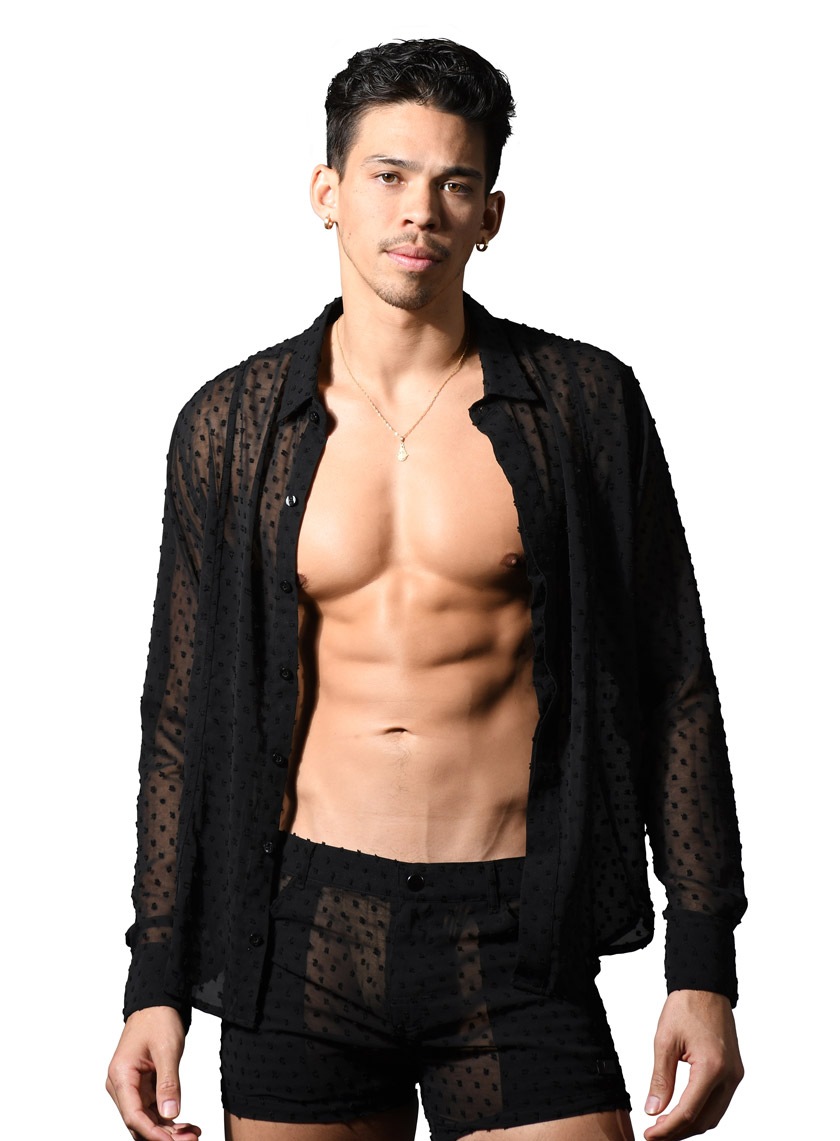 AndrewChristian/����ɥ�塼���ꥹ����� Naked Truth Capsule See-Through Midnight Shirt T����� Ĺµ ��� �ե��å���� �ȥåץ� �������롼 �ɥå���