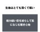 󥺥ӥ ֥꡼ g-station ơ Ωβù 쥹 󥺥ӥ  Ʃ 롼 եȥΡ