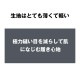 󥺥ӥ ֥꡼ g-station ơ Ωβù 쥹 󥺥ӥ  Ʃ 롼 եȥΡ