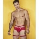 Pikante/�ԥ���� Sounds Briefs ���������٥���դ���å���֥꡼�� ��å��� �ե�Хå� �ӥ��˥֥꡼�� �������塡��󥺡��ѥ�ġ���������