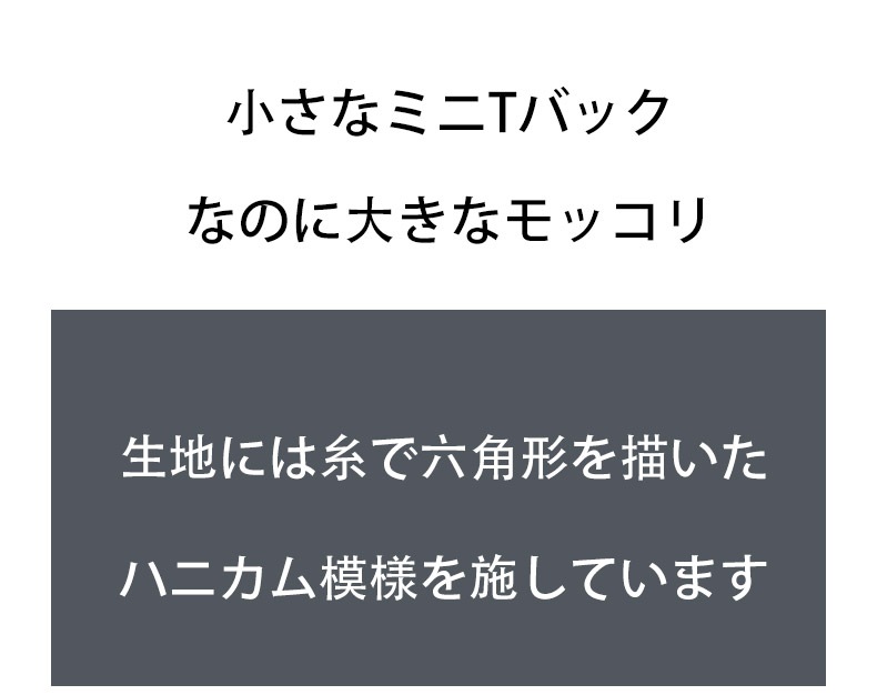 ���T�Хå� G-Station/�������ơ������ �ϥ˥���ѥ����� �ܥ�塼�� Ω��˥�� �ߥ�T�Хå� ��� �������� �����쥹 T�Хå� �ޥ�����T�Хå�