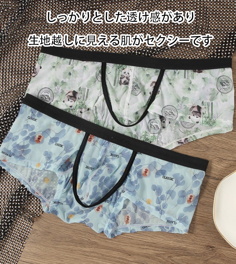 󥺥ܥѥ  G-Station/ơ  롼ץ ѥ ꡼ ܥѥ Ω˥    ʡ