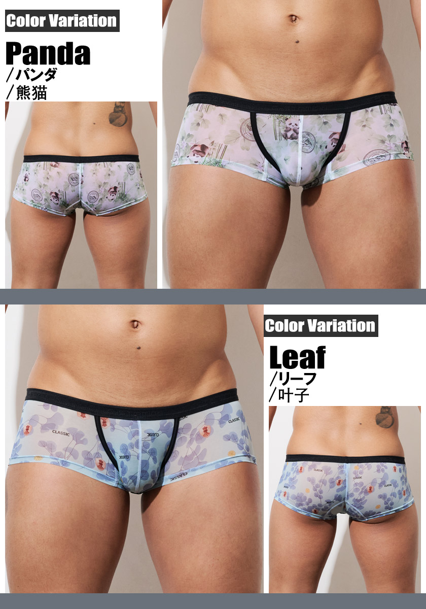 󥺥ܥѥ  G-Station/ơ  롼ץ ѥ ꡼ ܥѥ Ω˥    ʡ