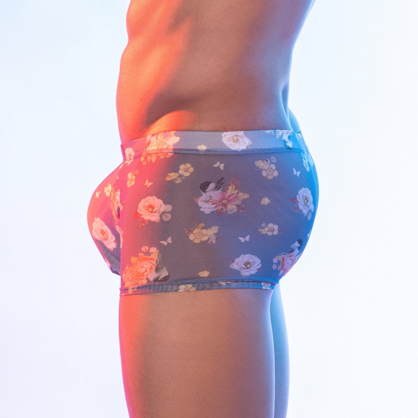 ��󥺥ܥ����� DEEP NOVA/�ǥ����ץΥ�  Ķ�����̵���ȴ�� Ω��˥�� �ܥ����� �ܥ������ѥ�� �������� ��󥺡������������ä������⿭�̡�����