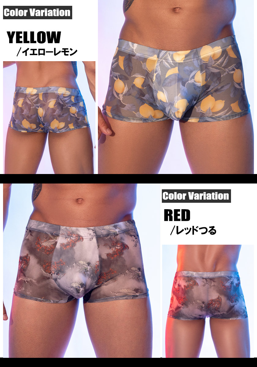 ��󥺥ܥ����� DEEP NOVA/�ǥ����ץΥ�  Ķ�����̵���ȴ�� Ω��˥�� �ܥ����� �ܥ������ѥ�� �������� ��󥺡������������ä������⿭�̡�����