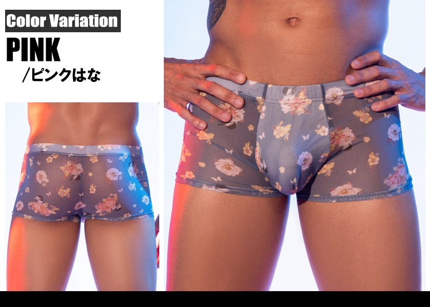 ��󥺥ܥ����� DEEP NOVA/�ǥ����ץΥ�  Ķ�����̵���ȴ�� Ω��˥�� �ܥ����� �ܥ������ѥ�� �������� ��󥺡������������ä������⿭�̡�����