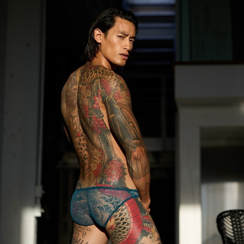 󥺥ӥ ֥꡼ GreggHomme/å DRAGONFLY BRIEF㥤ˡ 롼 å  Ʃ եХå  󥺥ʡ ѥ  