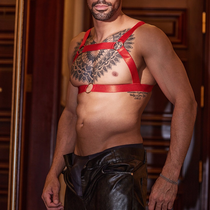 󥺥ϡͥ DEEP NOVA/ǥץΥ  塡 ĥĥ롡٥١Х