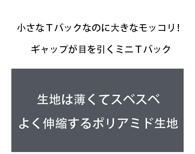 ���T�Хå� G-Station/�������ơ������ �����ޡ����� �̥ե���� �ǥ�����ץ��� �ߥ�T�Хå� ����ե� �������塡��󥺡��������� �ޥ�����T�Хå� Ω��˥��