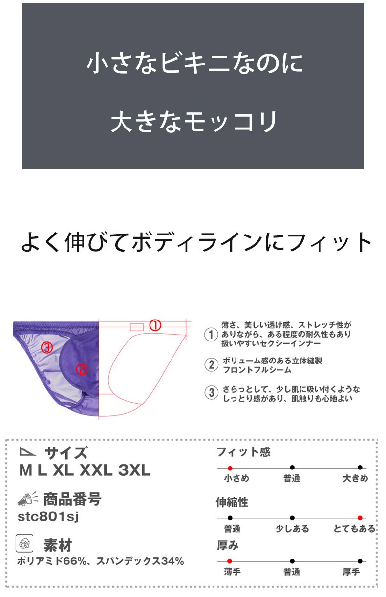 ��󥺥ӥ��� G-Station/�������ơ������ STC �̥ե���� �ߥ˥ӥ��� �ޥ������ӥ��� ��� �ӥ��˥֥꡼�� ��� �������� Ω��˥�� ��������