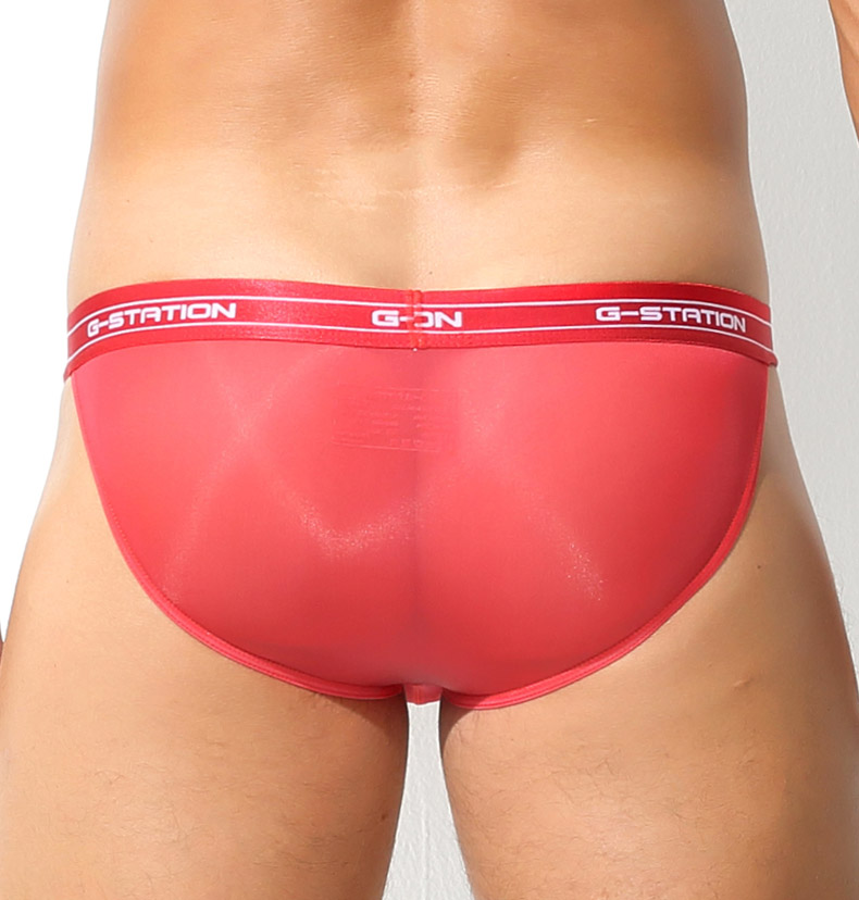 󥺥ӥ ֥꡼ G-Station/ơ ץߥ㥤 ߥ˥ޥե PERFECT SEE-THROUGH Ʃ եХå 롼   ѥ ϥåȥå