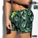 EScollection/�������������쥯����� HOT FROG SWIM SHORTS �����०���� �����եѥ�� �ܡ��ɥ��硼�� ��󥺿��� ����ѥ�� ���ѥ� �������� �ӡ��������� ����������
