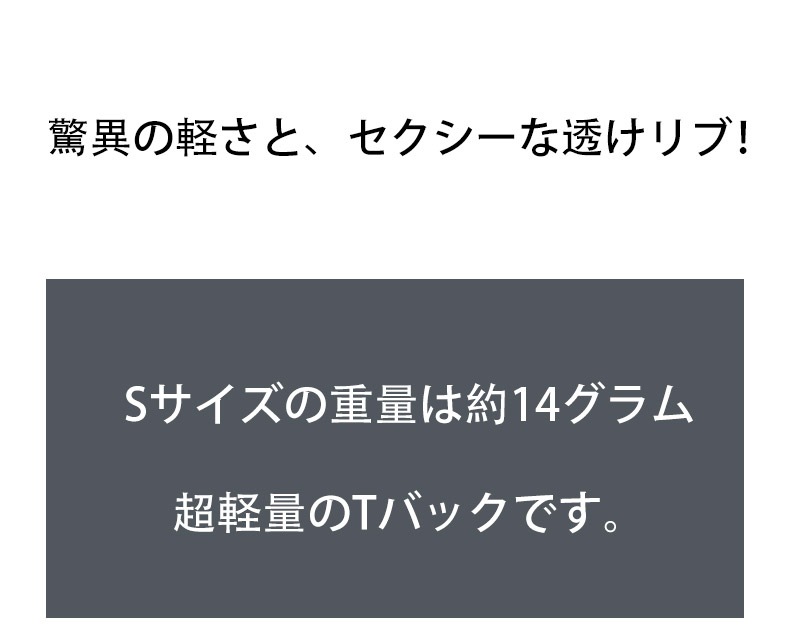 ���T�Хå� ��G-Station/�������ơ������ۥ���ȥ�饤��Ʃ����� ���� T�Хå� ���T�Хå� ��� �������� ���� Ʃ�� ���� Ω��˥�� �������롼