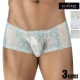 ��󥺥ܥ����� CLEVER/����С� DIAMOND LATIN BOXER������ �� �������� ��� �ѥ�� �ܥ������ѥ�� �����饤�� Ω��˥�� �̥ե����