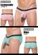 󥺥ӥ ֥꡼ GreggHomme/åNUDE Briefs/󷿥֥꡼