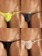 ���T�Хå� TM���쥯����󡡤���ä�2way side string bulge TB����󥺡�T�Хå������塡�ѥ�ġ����������������TM Collection ��������