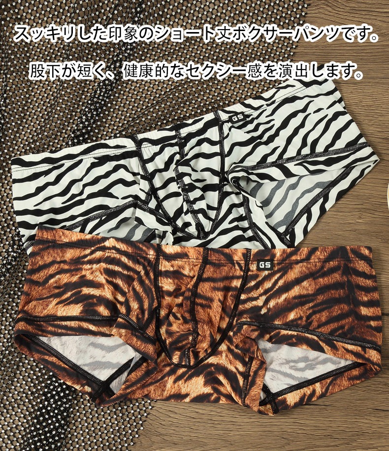 󥺥ܥѥ  G-Station/ơ  ˥ޥ 硼Ⱦ ܥѥ ܥ ֥   Ω˥    ʡ 饤