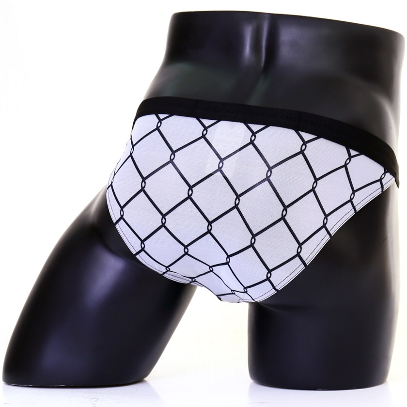 󥺥ӥ ֥꡼ GreggHomme/å KISSER BRIFS 롼 åѡå Ʃ å ӥ˥֥꡼ 塡󥺡ѥ եХå ϥåȥå