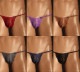 ���T�Хå� TM���쥯�����Stretch Lace x ShinySmooth Elegant TB����󥺡�T�Хå������塡�ѥ�ġ����������������TM Collection ��������
