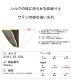 ��󥺥ӥ��� G-Station/�������ơ������ ���륭�����ƥ�Ĵ �ѥ��ԥ� �ϥ����åȥ�å� �ӥ��� �ѥ�� ��� �������� ���� �� �������㥹 ��餫 ��������
