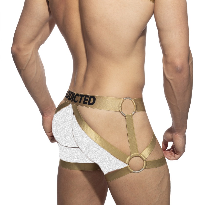 ADDICTED/���ǥ����ƥ��å� AD PARTY LEG HARNESS ��å��ϡ��ͥ� ���ѥϡ��ͥ� ���� �ϡ��ͥ�������ʡ� �������ȥϡ��ͥ� �磻��� �������� �����ƥ��å�