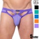 󥺥ӥ ֥꡼ GreggHomme/å CANDY-X BRIEF եȥå ӥ˥֥꡼ 塡󥺡ѥ եХå  Ω˥