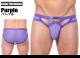 󥺥ӥ ֥꡼ GreggHomme/å CANDY-X BRIEF եȥå ӥ˥֥꡼ 塡󥺡ѥ եХå  Ω˥