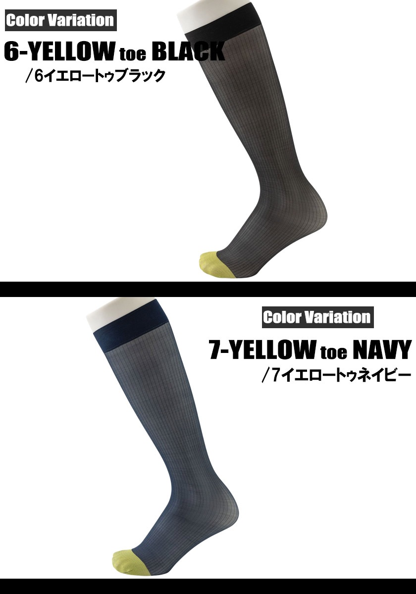 G-Station/ơ˽ ʥ󥽥å Ʃ ̵ ʥ  ǥ ե꡼ 롼 饤 塼֥å ȥ饤 롼å